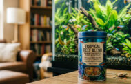Best Food for Tropical Fish 2026: Reviews + Buying Guide
